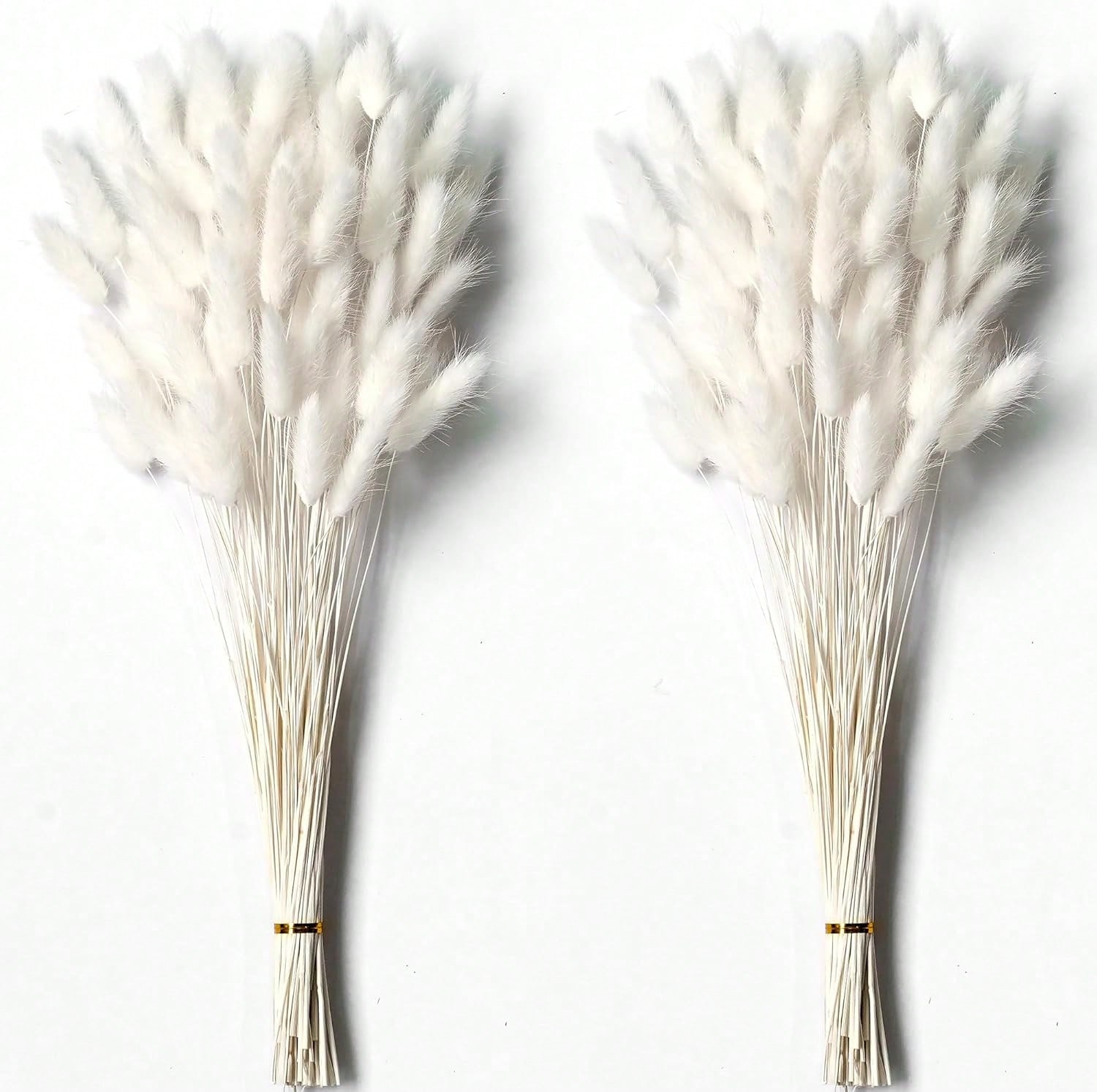 Pampas Grass Decor - 120 قطعة ديكور عشب بامباس المجفف